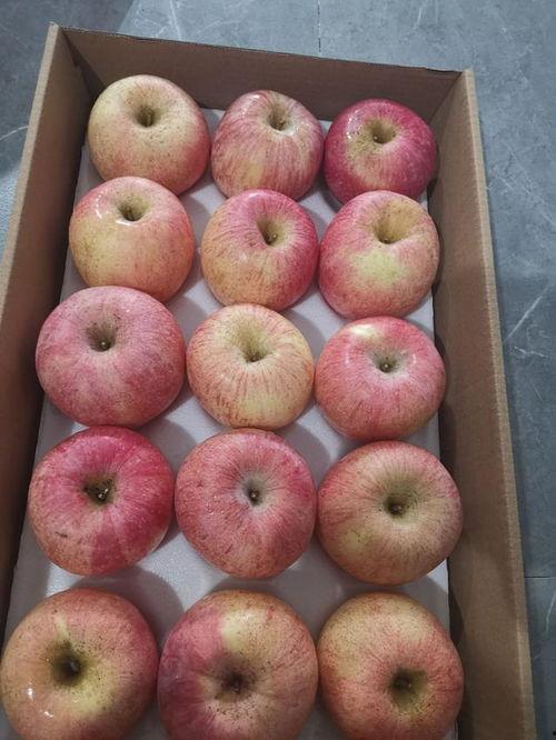 红富士苹果视频,色泽诱人，口感鲜美，营养丰富的果中之王