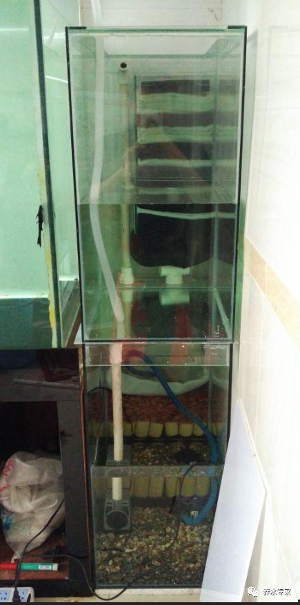 底滤鱼缸双下水视频,高效过滤与美观并重的奥秘