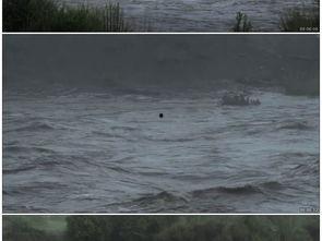 黑龙江发大水视频,紧急救援行动展开