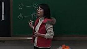 比尾巴视频,动物界的趣味尾巴大揭秘